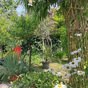 With A Garden , Milano Italia